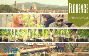 florence urban jungle - youth exchange - eramsus+